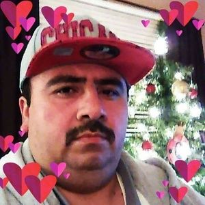 Meet your Posher, Wilbert